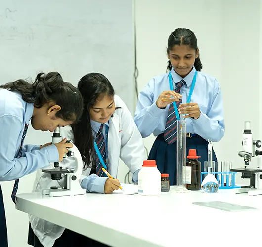 About-mission-Vision-Image